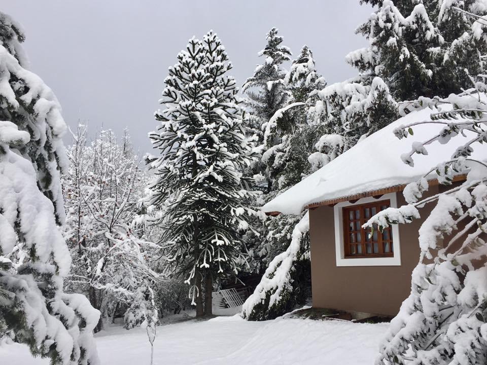 Altos Del Sur Cabanas De Montana El Bolsón Eksteriør bilde